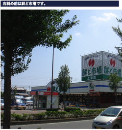 鮮ど市場フレッシュ8(4) 鮮ど市場フレッシュ8(4)