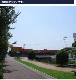 グッディ(2) グッディ(2)